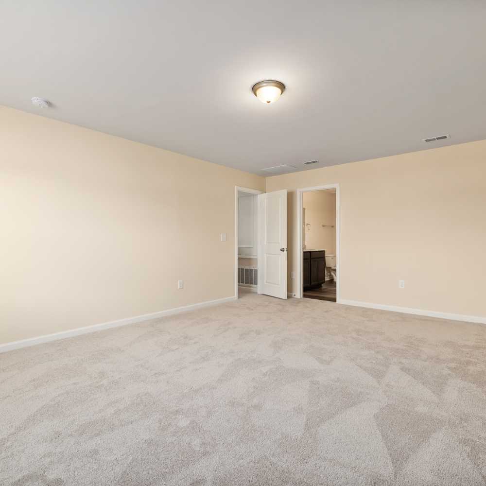 Power Steam Carpet Cleaning in Dallas