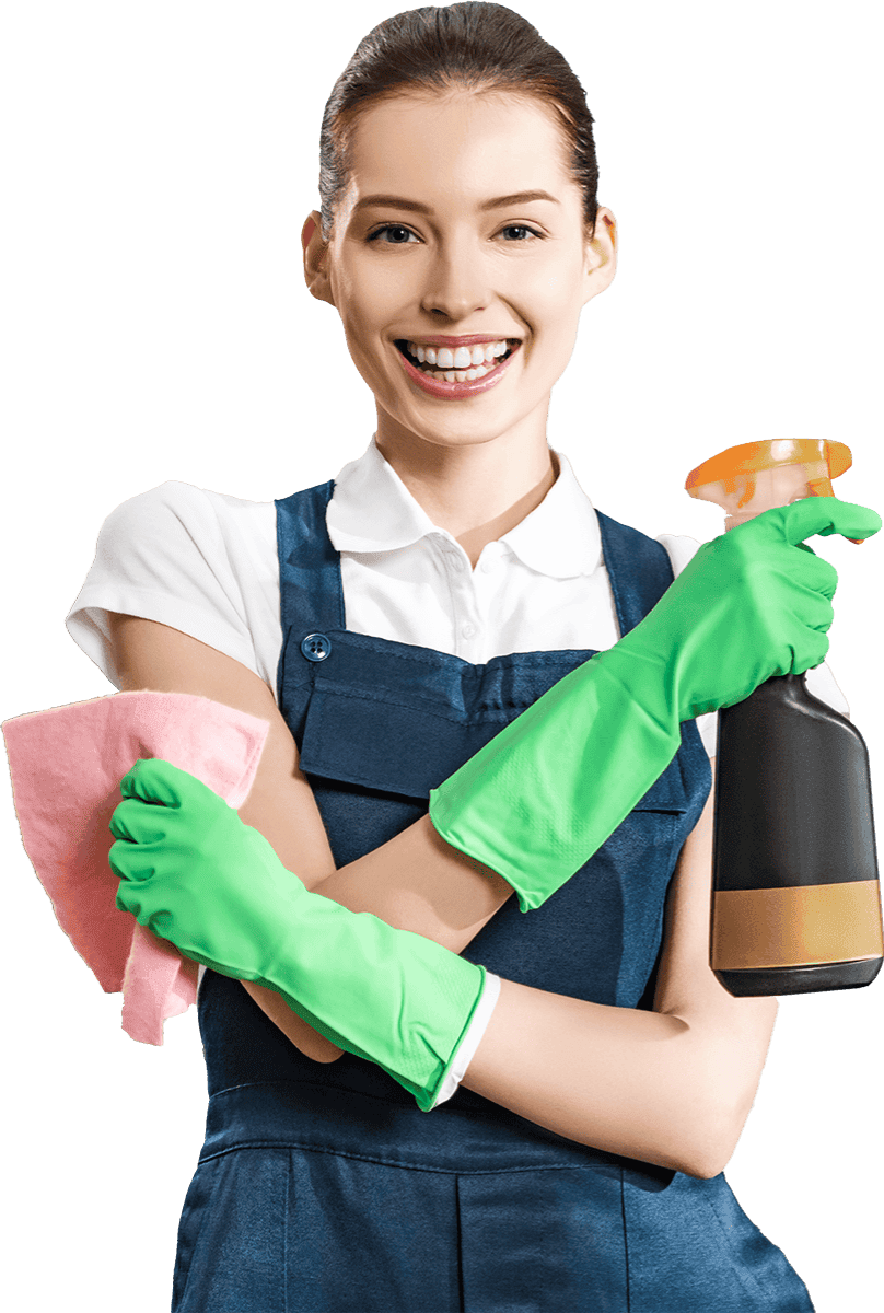 Preview of the Maid Masters TX website